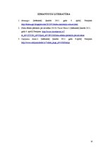 Referāts 'Somu nacionālā virtuve', 16.