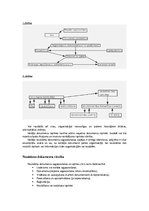 Konspekts 'Lietvedība un arhīvs – darbs ar dokumentiem', 9.
