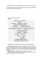 Konspekts 'Lietvedība un arhīvs – darbs ar dokumentiem', 12.