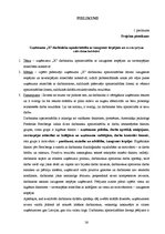 Referāts 'Uzņēmuma "X" darbinieku apmierinātība ar izaugsmes iespējam un savstarpējam atti', 26.