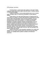 Biznesa plāns 'Skeitparka izveides biznesa plāns', 4.