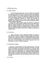 Biznesa plāns 'Skeitparka izveides biznesa plāns', 6.