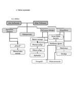 Biznesa plāns 'Skeitparka izveides biznesa plāns', 8.