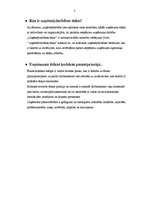 Referāts 'Uzņēmējdarbības ētika', 3.