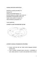 Referāts 'Jauniešu valoda', 5.