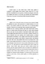 Referāts 'Jauniešu valoda', 8.