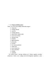 Diplomdarbs 'Personīgo sasniegumu nozīme veiksmīgas biroja vadītāja karjeras veidošanā', 40.