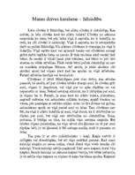 Eseja 'Manas dzīves karaliene – žēlsirdība', 1.