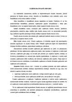 Prakses atskaite 'Finanšu vadības prakses atskaite', 11.