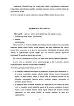 Prakses atskaite 'Finanšu vadības prakses atskaite', 12.