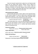 Prakses atskaite 'Finanšu vadības prakses atskaite', 15.