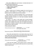 Prakses atskaite 'Finanšu vadības prakses atskaite', 16.