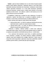 Prakses atskaite 'Finanšu vadības prakses atskaite', 17.