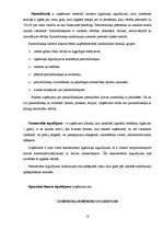 Prakses atskaite 'Finanšu vadības prakses atskaite', 18.