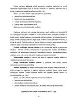 Prakses atskaite 'Finanšu vadības prakses atskaite', 19.