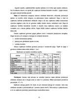 Prakses atskaite 'Finanšu vadības prakses atskaite', 20.