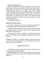 Prakses atskaite 'Finanšu vadības prakses atskaite', 23.