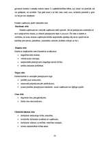 Prakses atskaite 'Finanšu vadības prakses atskaite', 26.