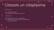 Prezentācija 'Šūnas, tās sastāvdaļas un to funkcijas', 12.
