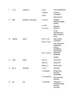 Konspekts 'Terminoloģija medicīnā latīņu valodā', 3.