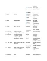 Konspekts 'Terminoloģija medicīnā latīņu valodā', 6.