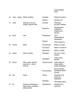 Konspekts 'Terminoloģija medicīnā latīņu valodā', 10.