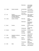 Konspekts 'Terminoloģija medicīnā latīņu valodā', 11.