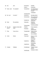 Konspekts 'Terminoloģija medicīnā latīņu valodā', 12.