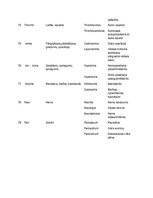 Konspekts 'Terminoloģija medicīnā latīņu valodā', 13.