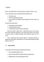 Referāts 'Latvijas importa un eksporta struktūras analīze', 5.