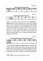 Referāts 'Dinamikas rindu analīze, sezonalitātes novērtēšana un izmantošana', 5.