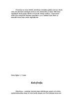 Eseja 'Filosofiskā doma Latvijā', 3.