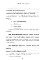 Referāts 'Mārketinga procesa analīze populāros  Latvijas saldumu ražošanas uzņēmumos', 9.