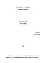 Referāts 'Darba aizsardzība', 1.