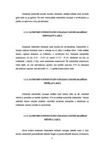 Referāts 'Satiksmes intensitāte un ceļa caurlaidības spēja', 8.