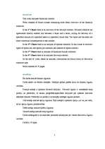 Referāts 'Risku veidi un to pārvaldīšana darījumos ar derivatīviem kā atvasinātajiem vērts', 3.