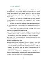 Referāts 'Risku veidi un to pārvaldīšana darījumos ar derivatīviem kā atvasinātajiem vērts', 12.