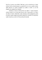 Diplomdarbs 'Rotaļas trīs - četrus gadus vecu bērnu runas attīstībai', 20.