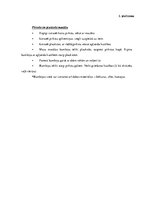 Diplomdarbs 'Rotaļas trīs - četrus gadus vecu bērnu runas attīstībai', 51.