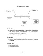 Biznesa plāns 'SIA "Pēterītis" biznesa plāns', 16.