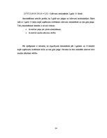 Biznesa plāns 'SIA "Pēterītis" biznesa plāns', 24.