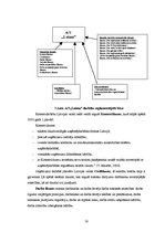 Referāts 'A/s "Laima" preču piedāvājumu analīze', 30.