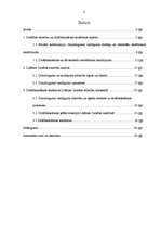 Referāts 'Drošības tendences Tuvajos Austrumos: Libānas - Izraēlas konfliktu analīze', 2.