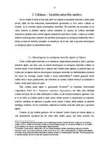 Referāts 'Drošības tendences Tuvajos Austrumos: Libānas - Izraēlas konfliktu analīze', 15.