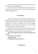 Referāts 'Tourismus in Lindau', 19.