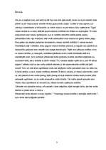 Referāts 'Būvmateriālu veikala darbība', 3.