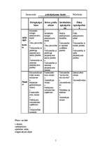 Referāts 'Būvmateriālu veikala darbība', 5.