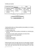 Referāts 'Būvmateriālu veikala darbība', 12.