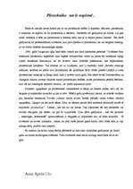 Eseja 'Pirotehnika', 1.