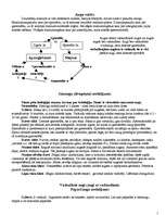 Konspekts 'Augu valsts', 1.